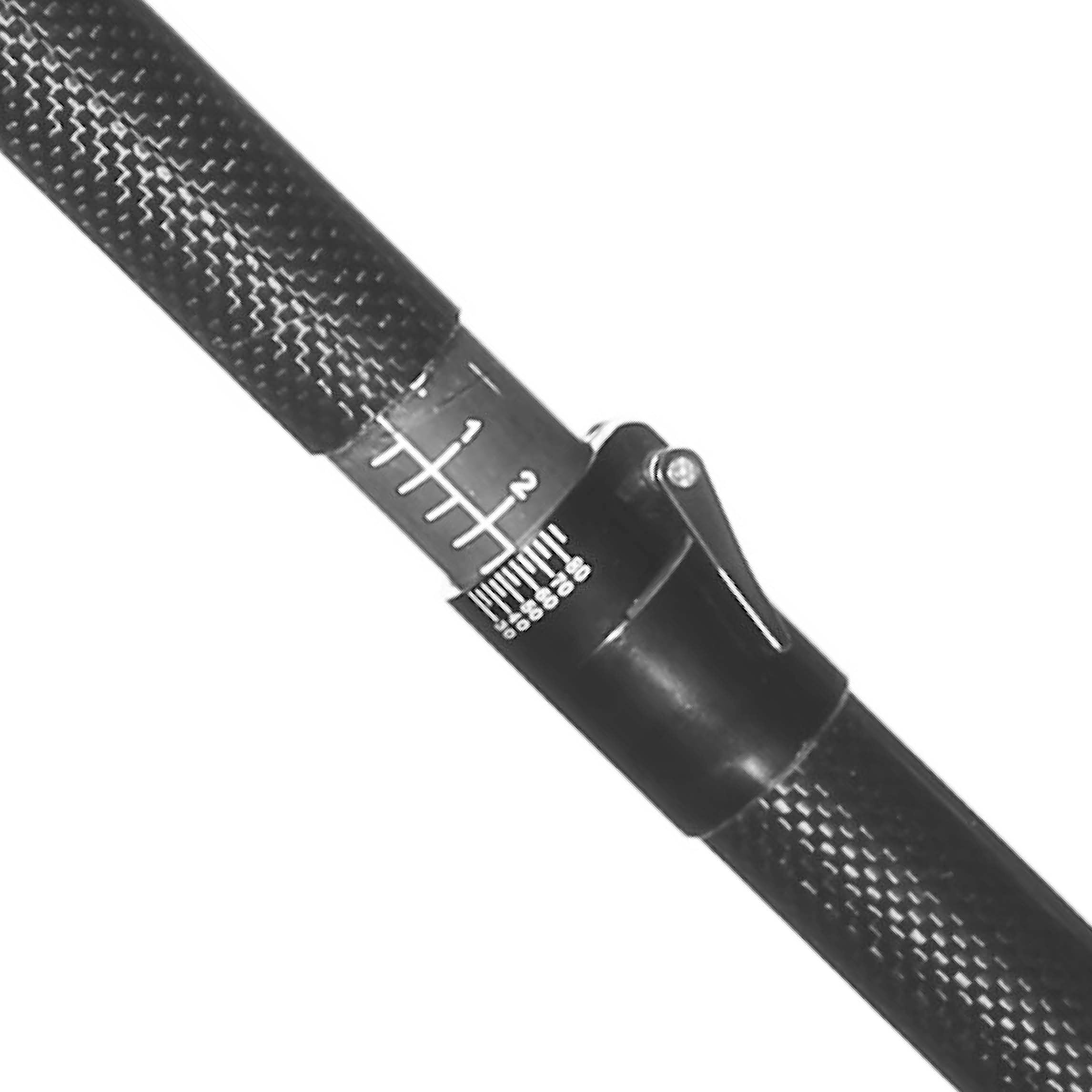 Longboat Racing Wingpagaj, Carbon S